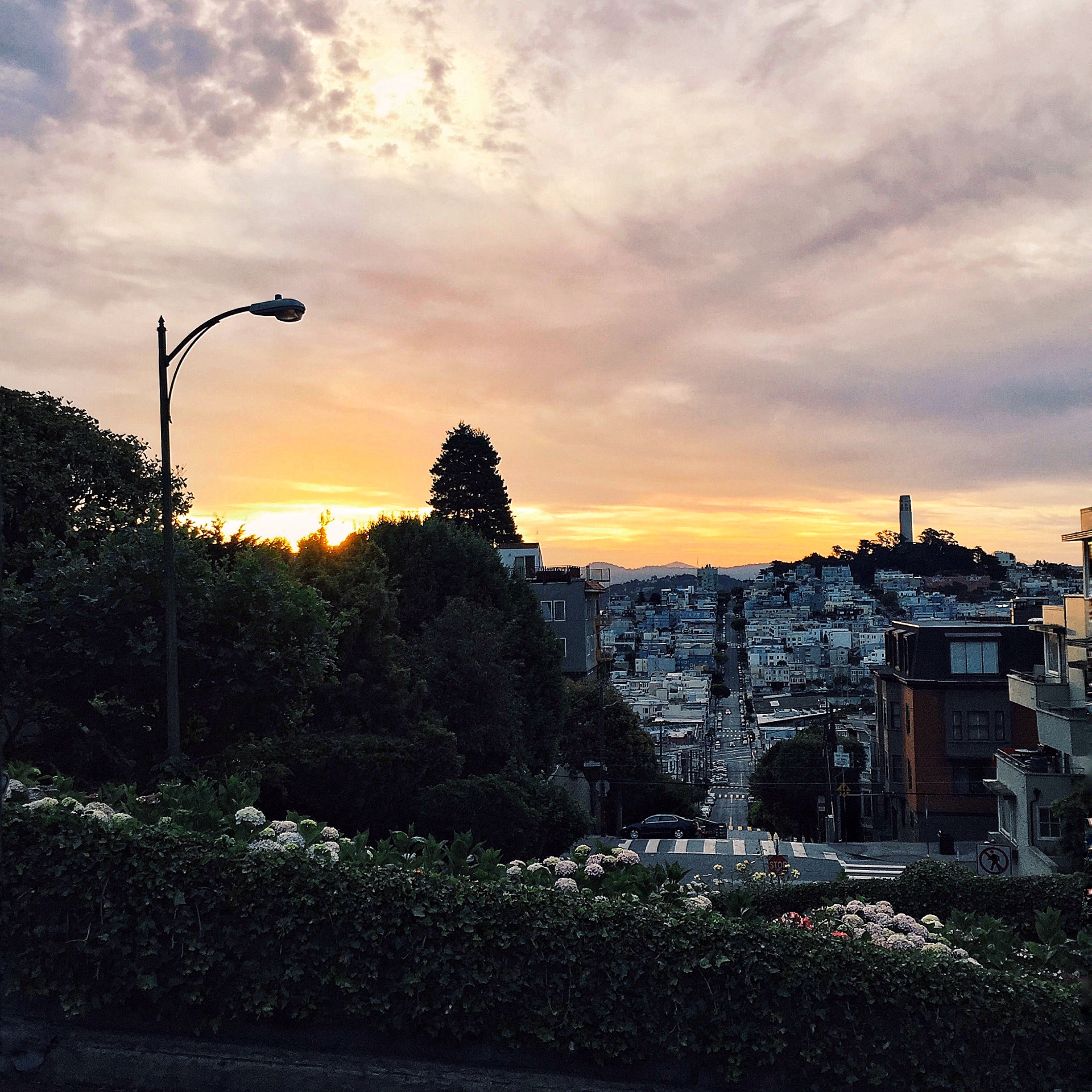 Processed with VSCO with g3 preset